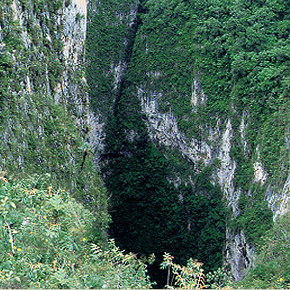 Sótano del Barro